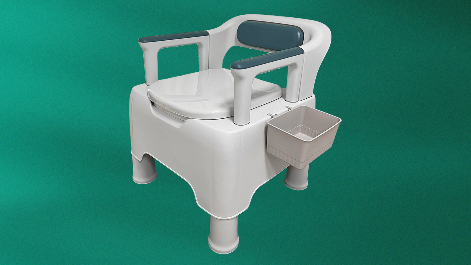 Portable toilet
