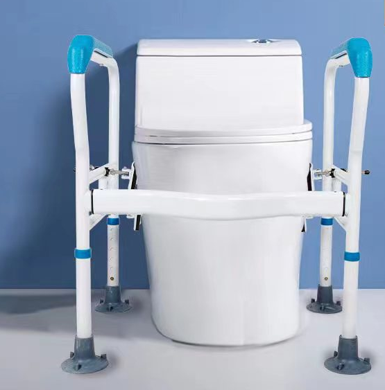 Toilet rail
